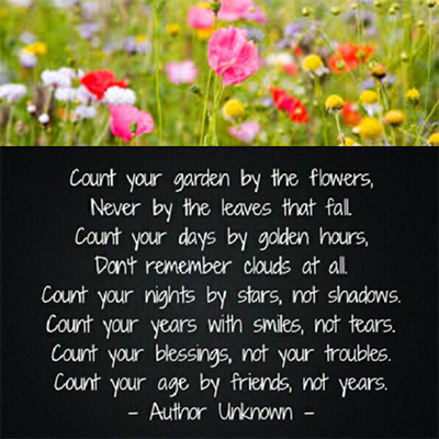 Gedicht - Count your garden by the flowers, never by the leaves that fall. Count your days by golden hours, don't remember clouds at all. Count your nights by stars, not shadows. Count your years with smiles, not tears. Count your blessings, not your troubles. Count your age by friends, not years. Author Unknown